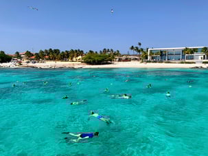 FF Snorkel