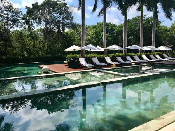 Grand Velas Forest