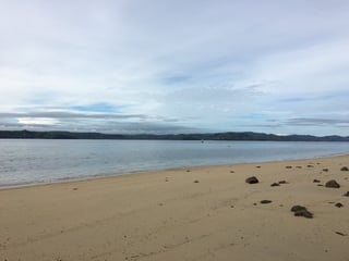 IMG_0106.jpg