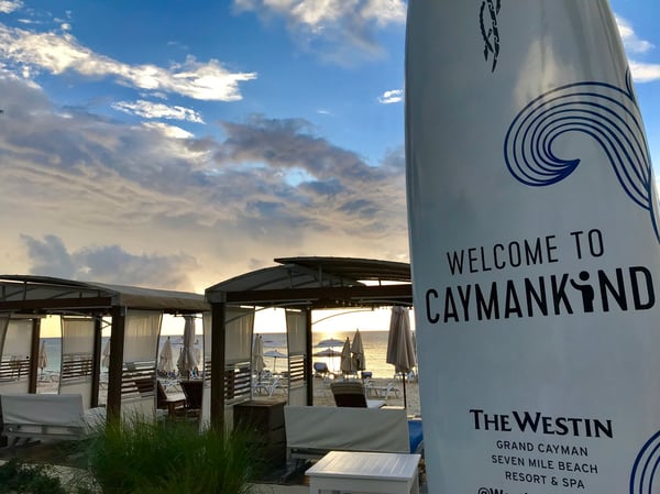 Westin Grand Cayman Surfboard